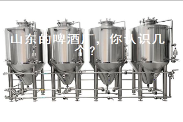 山東的啤酒廠，你認(rèn)識(shí)幾個(gè)？