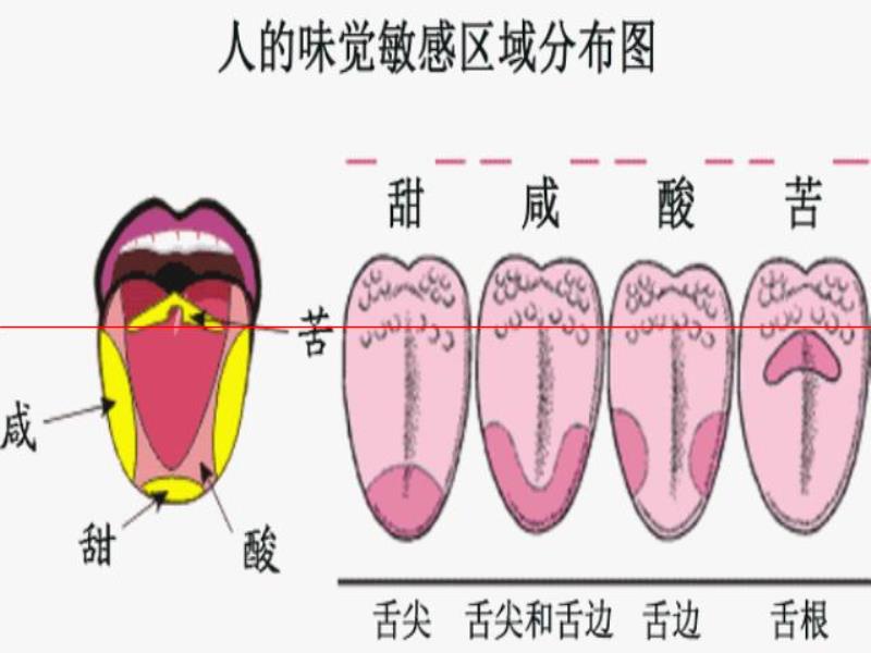 連生啤、熟啤、鮮啤、精釀都分不清楚，還喝什么啤酒