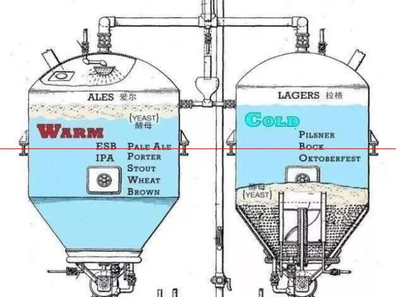 啤酒顏色越深越苦嗎？這些啤酒常識(shí)，80%的啤酒人不知道