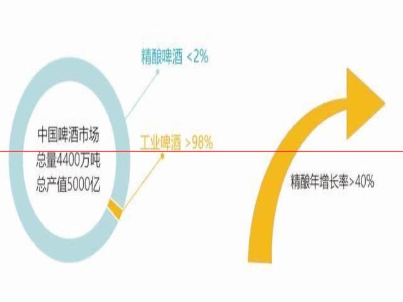 百格威力原漿精釀啤酒全國(guó)招商加盟