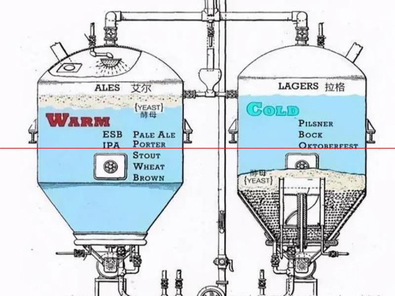 精釀啤酒與工業(yè)啤酒的不同｜芽子精釀