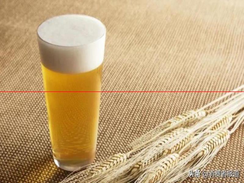 12款啤酒測(cè)試：哈爾濱、珠江等用料較“雜”；嘉士伯、青島泡沫持久性墊底