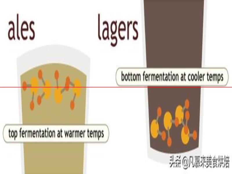 測評17款精釀啤酒，五花八門各種口味真奇葩，哪種啤酒好喝能奪冠