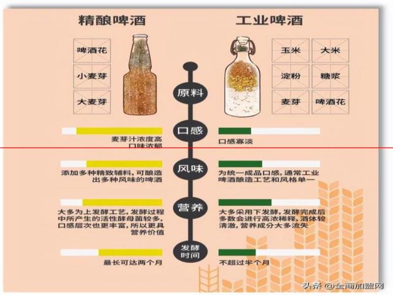 怎么區(qū)分精釀啤酒和工業(yè)啤酒？