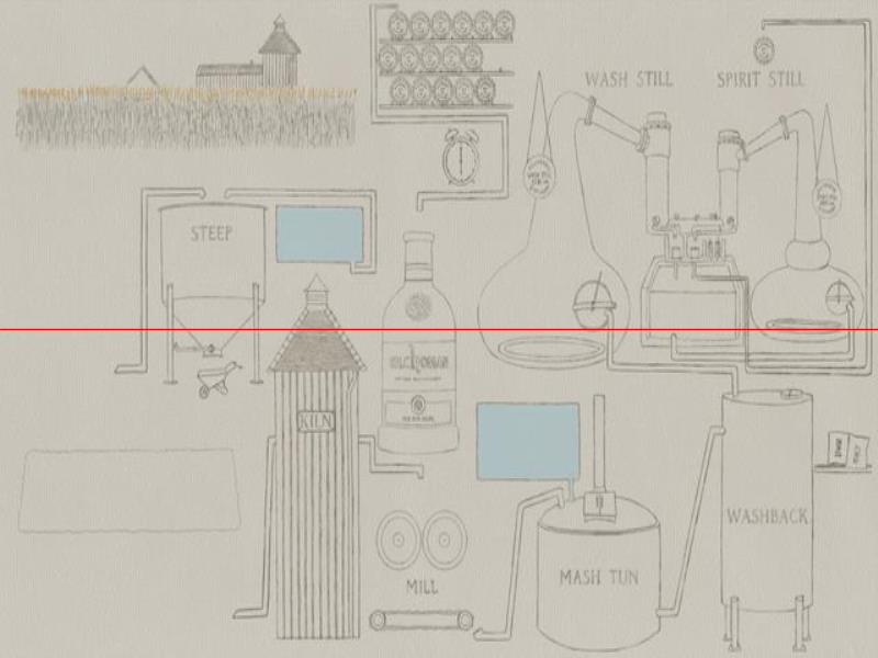 圖解  一分鐘看懂蘇格蘭單一麥芽威士忌生產(chǎn)過程