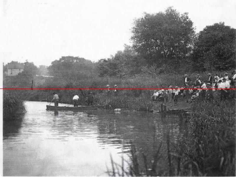 1916年，一條鯊魚擠進(jìn)小溪，吞食了5名美國人，居民展開復(fù)仇