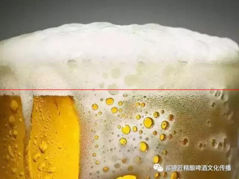 為什么啤酒會(huì)形成與眾不同的泡沫？