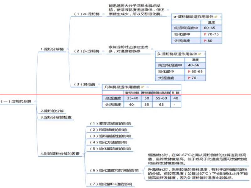 制麥過程中，糖化醪PH值的影響有哪些？