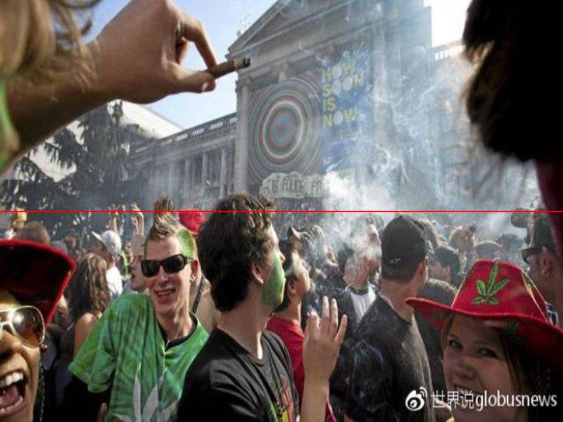 為什么大麻在加拿大變得合法了？