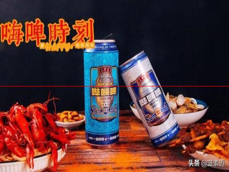 精釀啤酒市場(chǎng)前景如何？為什么越來越多人看好精釀啤酒發(fā)展趨勢(shì)