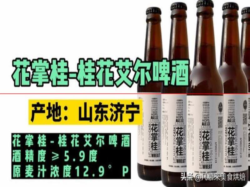 測評17款精釀啤酒，五花八門各種口味真奇葩，哪種啤酒好喝能奪冠